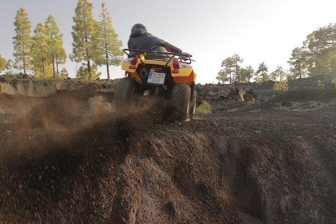 Masca Valley Guided Buggy Tour With Lunch, Day & Sunset - Host Response