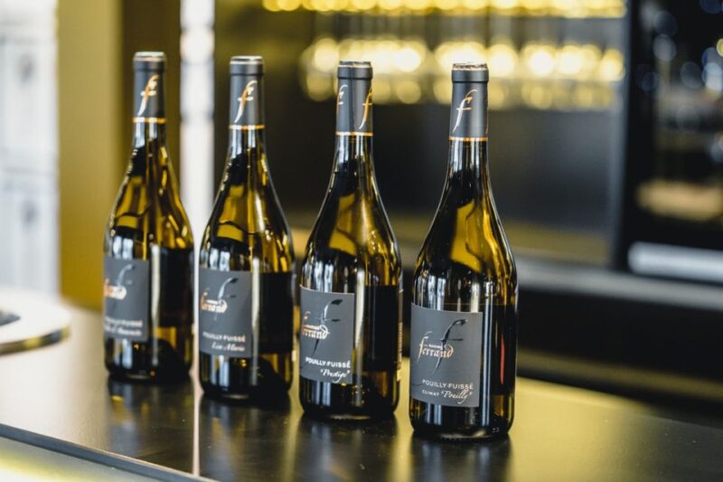 Mason: Visit and Tasting of the Estates Wines - Family Tradition and Estate Size