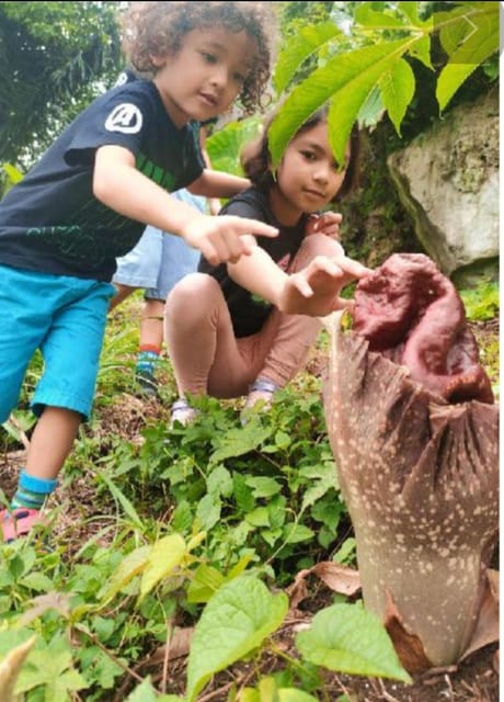 Masoorat Heritage Park , Ipoh - Pickup and Dropoff Locations