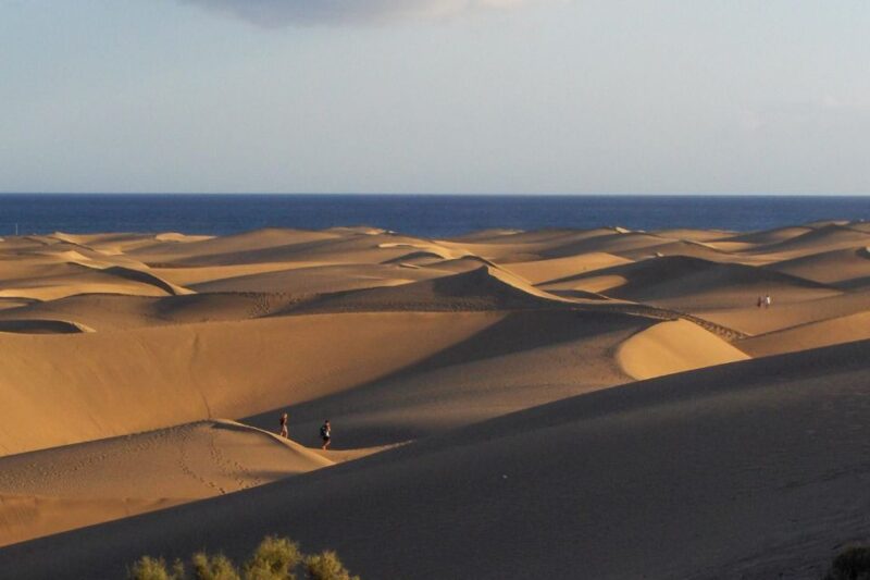 Maspalomas: 1 Hour Segway Sightseeing Tour - Experience Highlights