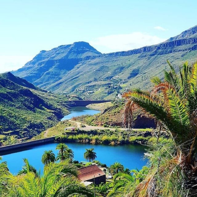 Maspalomas: Ayagaures Hills E-Bike Tour Optional Tapas - Requirements