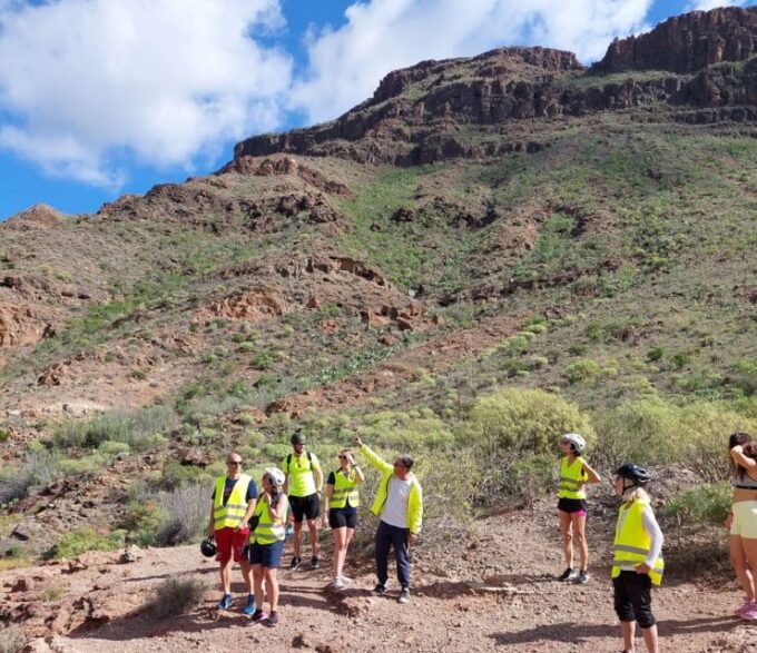Maspalomas: Ayagaures Hills E-Bike Tour Optional Tapas - Ayagaures Dam and Camel Farm
