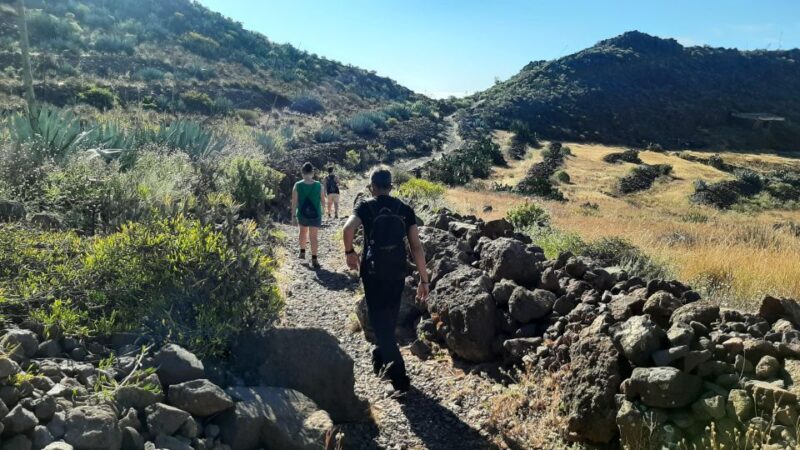 Maspalomas: Barranco De Las Vacas, Caves, Farmhouse Tour - Traditional Village