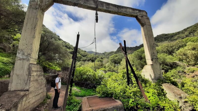 Maspalomas: Barranco De Los Cernicalos Rainforest Hike - Key Points