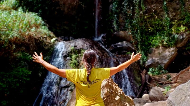 Maspalomas: Barranco De Los Cernicalos Rainforest Hike - Itinerary and Transportation