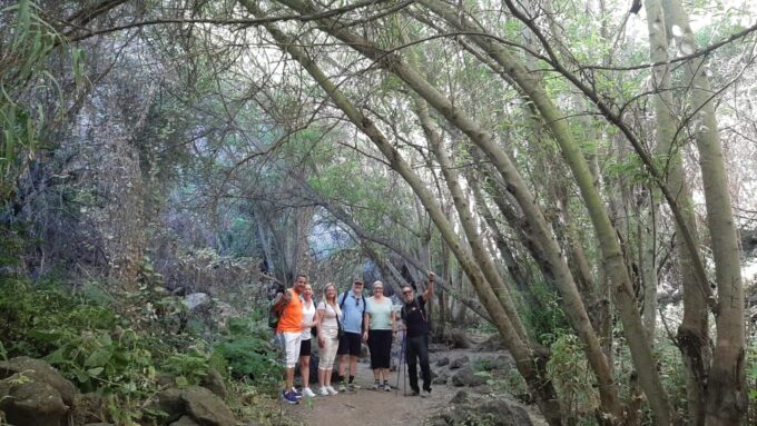 Maspalomas: Barranco De Los Cernicalos Rainforest Hike - Frequently Asked Questions