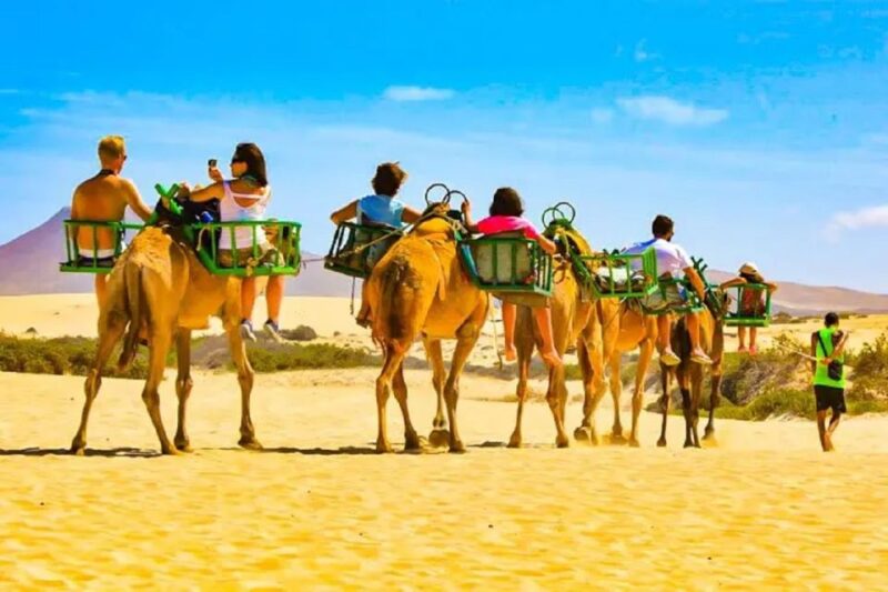 Maspalomas: E-Bike Tour Optional Camel Ride - Tour Highlights