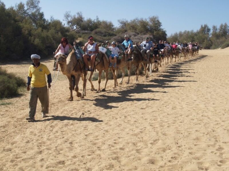 Maspalomas: E-Scooter Chopper 2 Seat Optional Camel Tour - Meeting Point and Parking