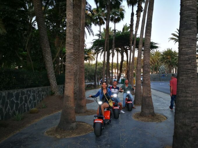 Maspalomas: E-Scooter Chopper 2 Seat Optional Camel Tour - Observing Gunaches Site and Gran Canaria Lizards
