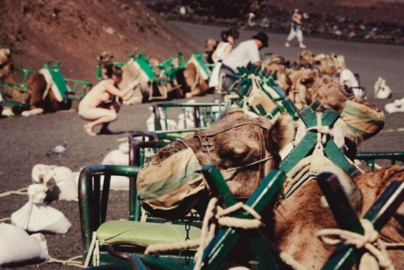 Maspalomas: Guided Camel Ride in the Maspalomas Sand Dunes - Inclusions and Restrictions