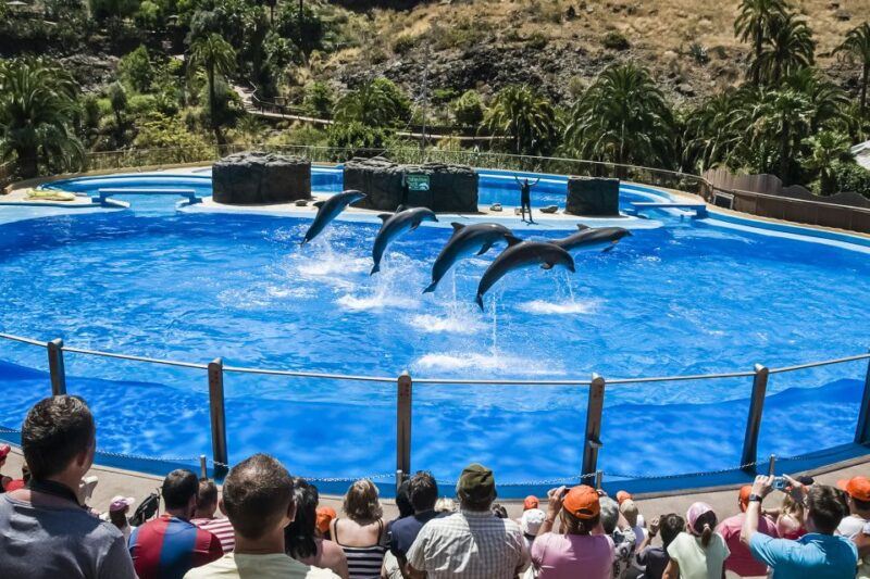 Maspalomas: Palmitos Park Ticket With Dolphin and Bird Shows - Included Amenities and Services