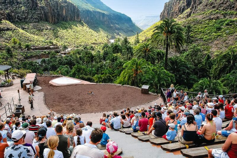 Maspalomas: Palmitos Park Ticket With Dolphin and Bird Shows - Visitor Experience and Reviews