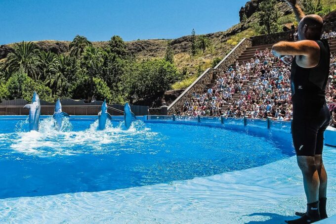 Maspalomas: Palmitos Park Ticket With Dolphin and Bird Shows - Additional Tips and Considerations