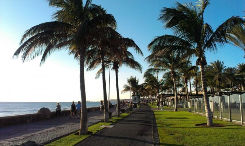 Maspalomas: Rent City Bike Optional Baby Seat or Child Bike - Rental Pricing