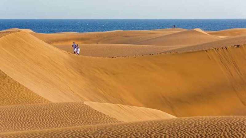 Maspalomas: Southern Coast E-Bike Tour Option Tapas Tasting - Maspalomas Dunes Exploration