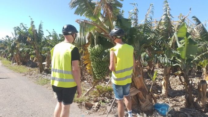 Maspalomas: Southern Coast E-Bike Tour Option Tapas Tasting - Fishing Village Encounter