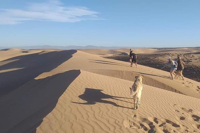 Massa+Mini Sahara and Tiznit Silver City by Jeep - Prepare for the Adventure