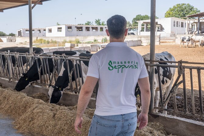 Masseria Seppunisi Tour - Mozzarella and Burrata Experience - Cheese-Making Process