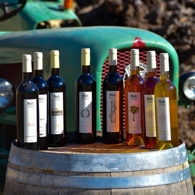 Massmamier La Mignarde: Wine Tasting - Key Points