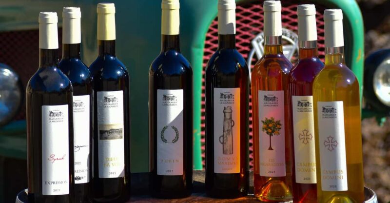 Massmamier La Mignarde: Wine Tasting - Wine Selection and Tasting