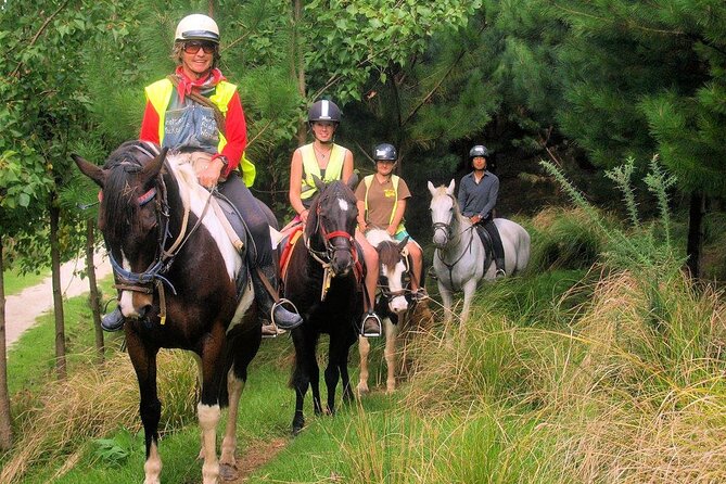 Matakana Art & Horse Riding Experience Private Tour From Auckland - Self-Guided Walking Tours