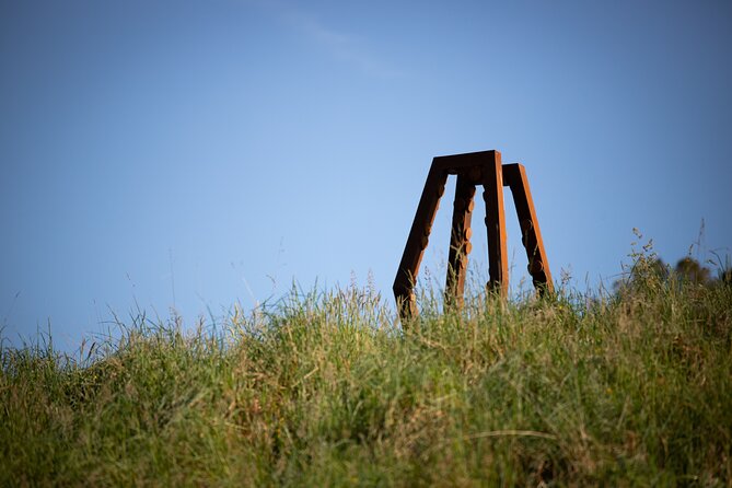 Matakana Art & Vineyard Experience Incl. Lunch & Wine Tasting Tour From Auckland - Activities and Experiences