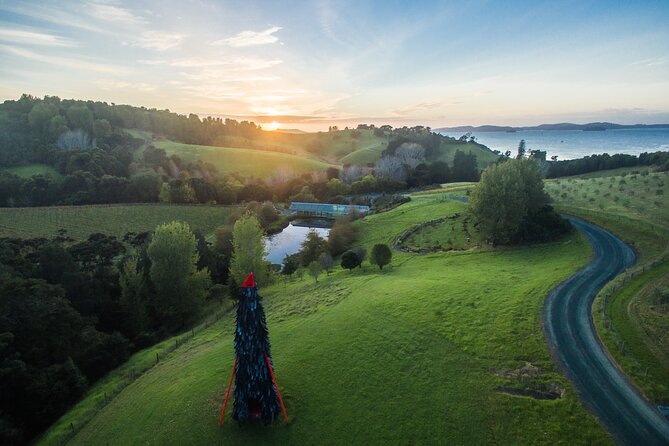 Matakana Art & Vineyard Experience Incl. Lunch & Wine Tasting Tour From Auckland - Participant Requirements and Recommendations