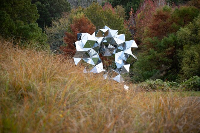 Matakana Art & Vineyard Experience Incl. Lunch & Wine Tasting Tour From Auckland - Reviews and Feedback