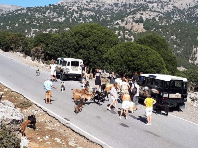 Matala Agiofarago Gorge Safari Tour - Frequently Asked Questions