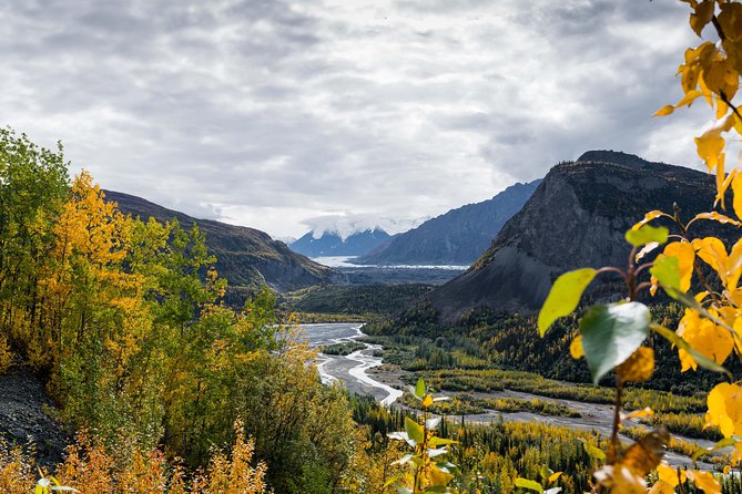 Matanuska Glacier Wildlife & Wilderness Photo Tour From Anchorage - Photography Experience