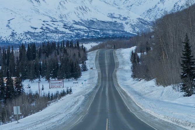 Matanuska Glacier Wildlife & Wilderness Photo Tour From Anchorage - Wildlife and Wilderness Highlights