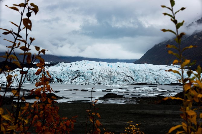 Matanuska Glacier Wildlife & Wilderness Photo Tour From Anchorage - Glacier Exploration