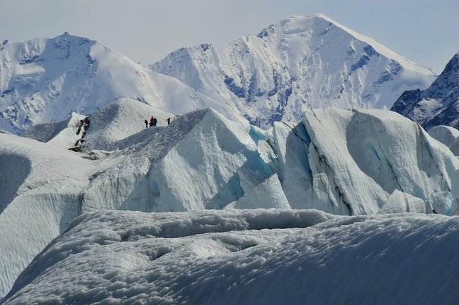 Matanuska Glacier Wildlife & Wilderness Photo Tour From Anchorage - Included Amenities