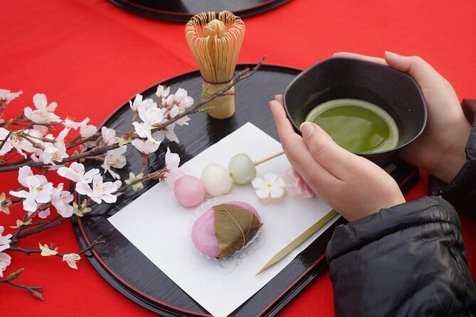 Matcha Making Picnic: Sweets & Snacks in Yoyogi Park (Tokyo) - Key Points