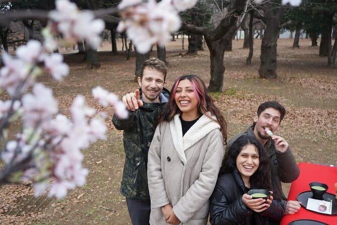 Matcha Making Picnic: Sweets & Snacks in Yoyogi Park (Tokyo) - Meeting and Pickup