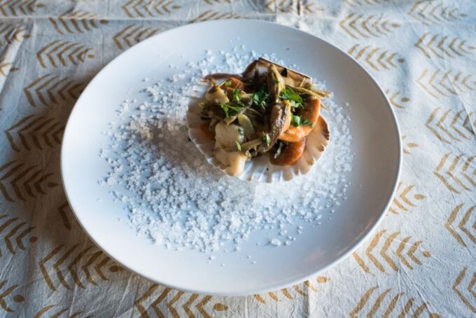 Matera: Authentic Cooking Class at a Locals Home - Additional Information