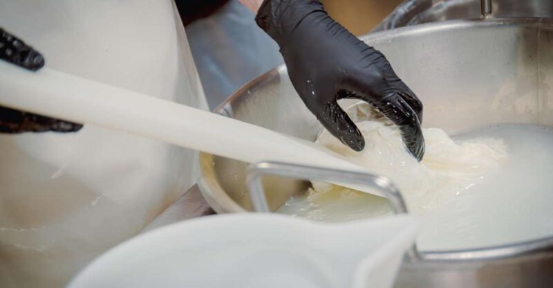 Matera Cheese Making Class: Be a Real Dairy Man for a Day! - Experience Highlights