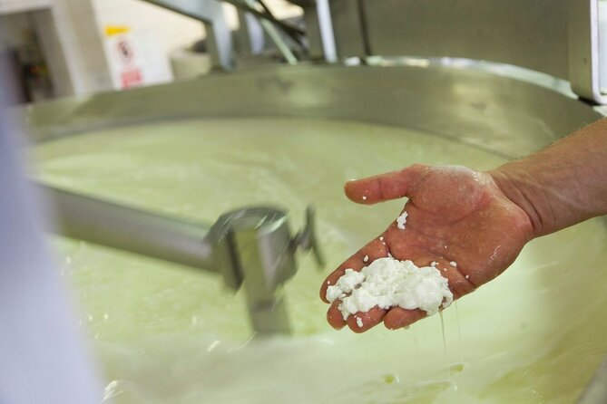 Matera Cheese Making Class - Pricing and Payments