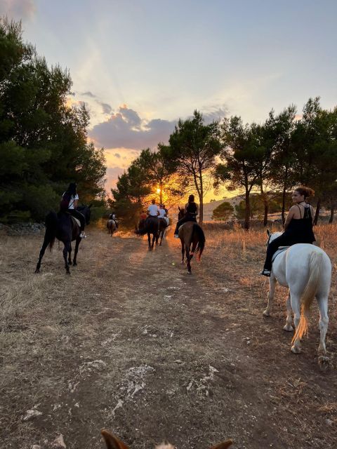 Matera: Sunset Horseback Riding Tour on Murgia - Key Points