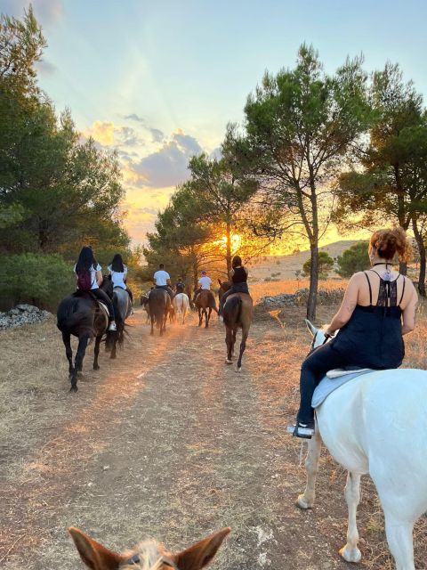Matera: Sunset Horseback Riding Tour on Murgia - Experience Highlights