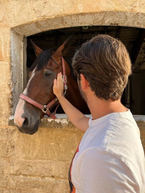 Matera: Sunset Horseback Riding Tour on Murgia - Inclusions and Exclusions