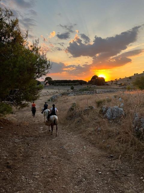 Matera: Sunset Horseback Riding Tour on Murgia - Frequently Asked Questions