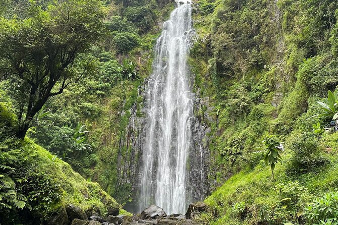 Materuni Waterfall and Coffee Plantation Half Day Tour - Key Points