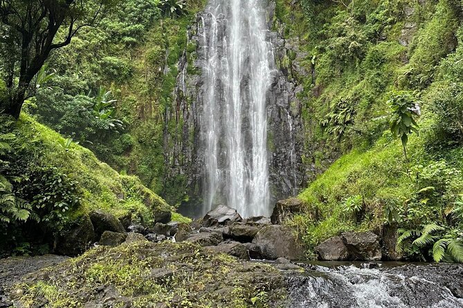 Materuni Waterfall and Coffee Plantation Half Day Tour - Meeting and Pickup