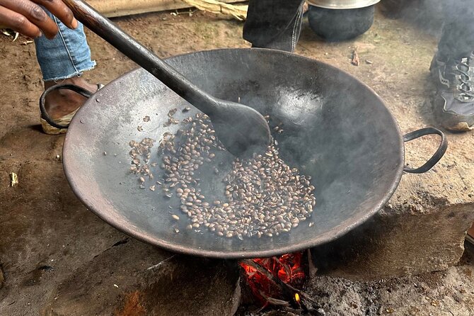 Materuni Waterfall and Coffee Plantation Half Day Tour - Guest Feedback