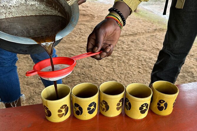 Materuni Waterfall and Coffee Plantation Half Day Tour - Recap