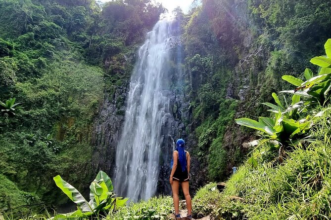 Materuni Waterfall and Coffee Tour ( Fullday). - Key Points