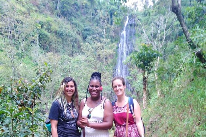 Materuni Waterfall and Coffee Tour ( Fullday). - Accessibility and Participation