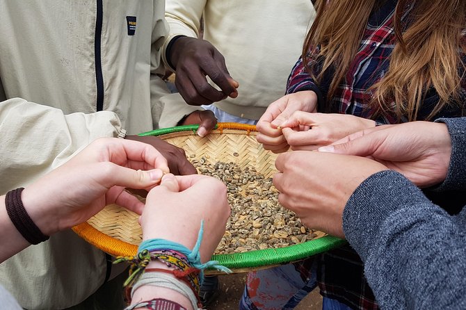 Materuni Waterfall and Coffee Tour, Tanzania - Exploring the Materuni Waterfall