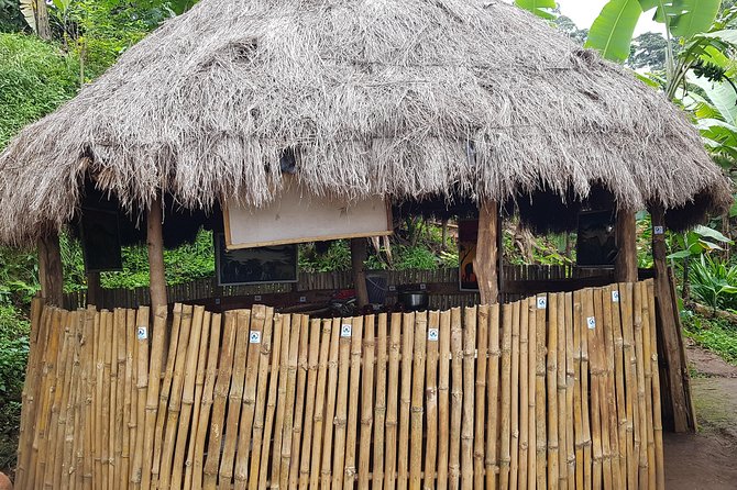 Materuni Waterfall and Coffee Tour, Tanzania - Transportation and Pickup Details
